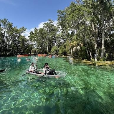Crystal River, Citrus County Real Estate